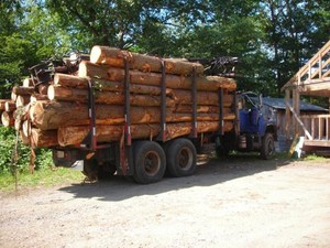 A Load of Pine Logs Arriving at the Saw Mill in Colrain